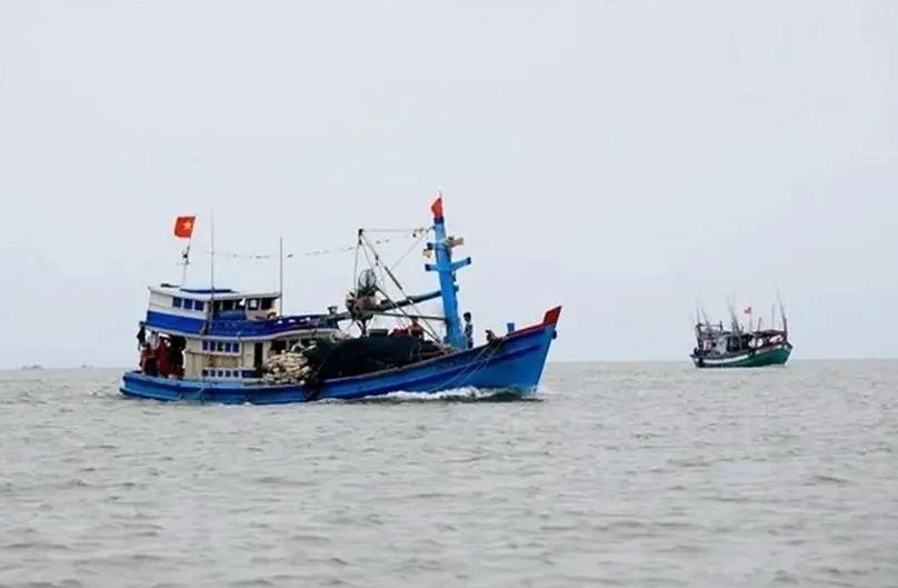 Int’l public opinion on Chinese force's behaviours towards VNese fishermen